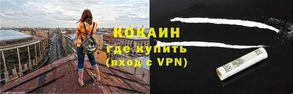 шишки Балахна