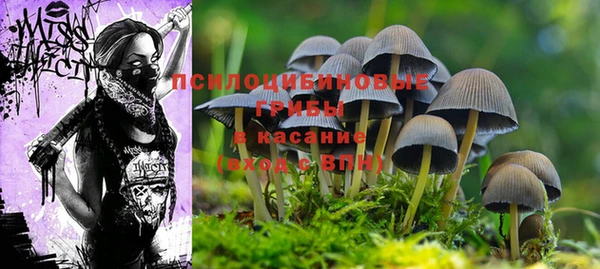дурь Баксан